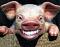 Avatar de EduLeito